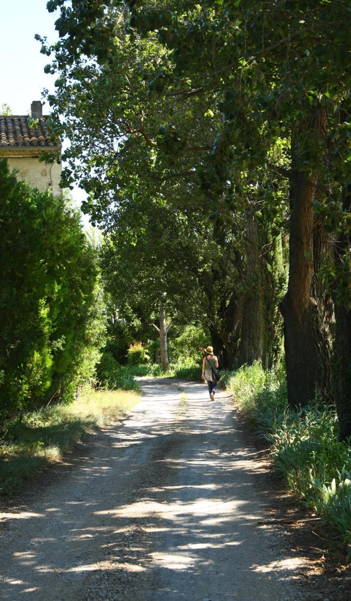 La Nesquiere Chambres D'Hotes Pernes-les-Fontaines Buitenkant foto